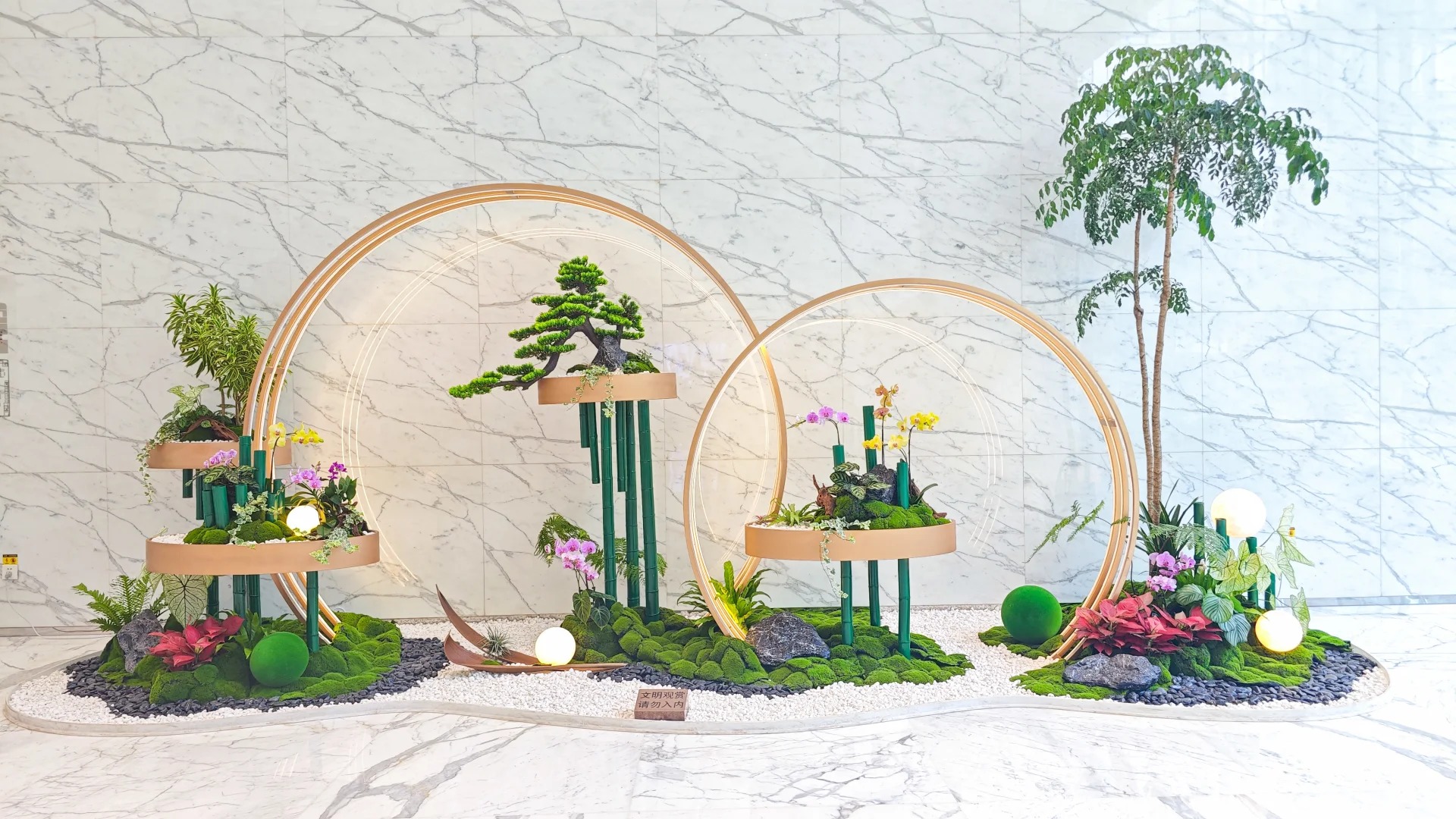 了解杭州湾盆景租摆公司,解锁绿植美化新方式